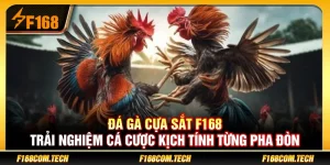 Đá Gà Cựa Sắt F168 – Trải Nghiệm Cá Cược Kịch Tính Từng Pha Đòn