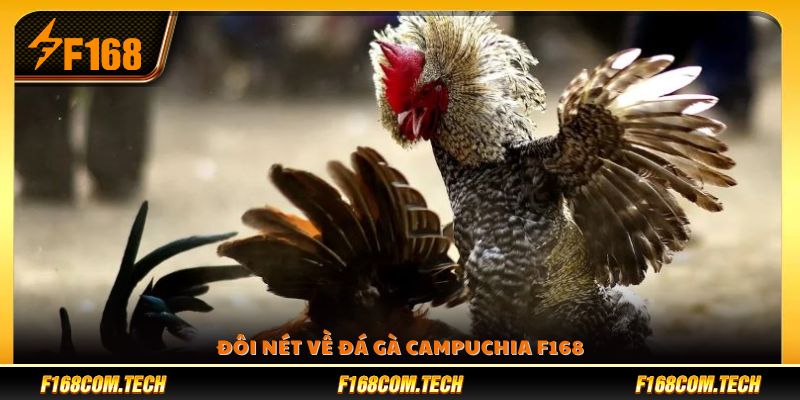 Giới thiệu về hình thức đá gà Campuchia trên F168 
