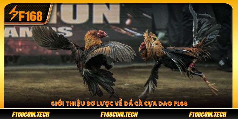 Đôi nét khái quát về sảnh đá gà cựa dao F168 