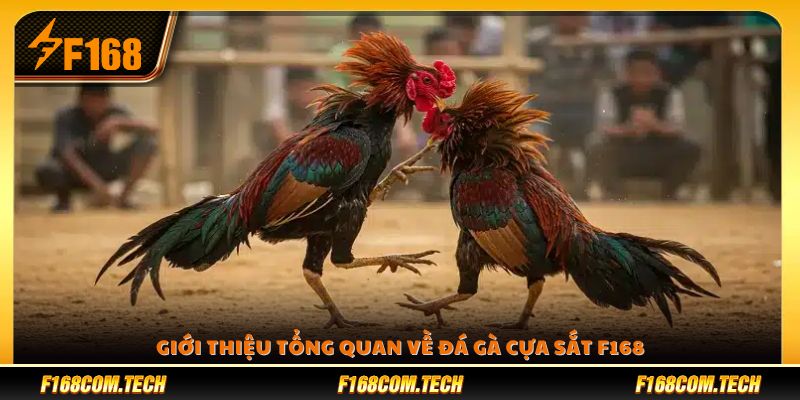 Khái quát chung về hình thức đá gà cựa sắt tại F168