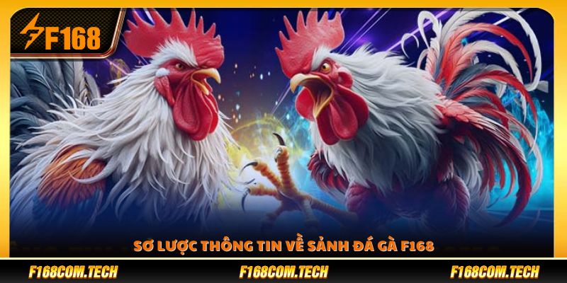 Khám phá đôi nét nổi bật của sảnh đá gà F168