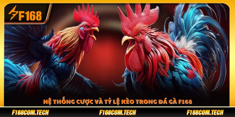 Nhiều hình thức đặt cược cùng tỷ lệ minh bạch