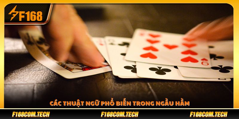 Tổng hợp những thuật ngữ thường gặp 