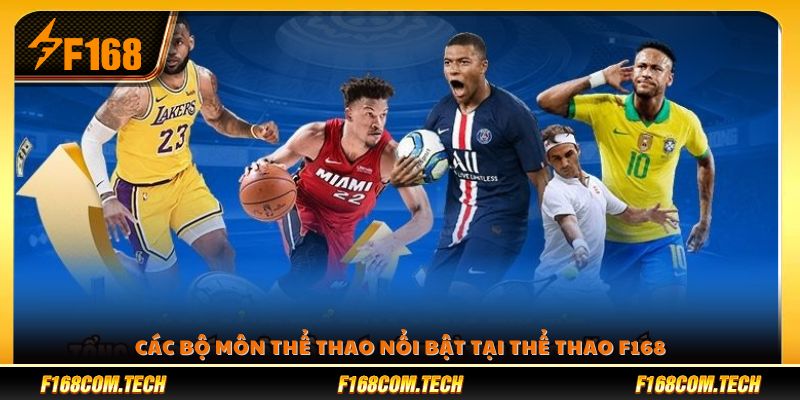 Các bộ môn thu hút đông đảo người chơi 